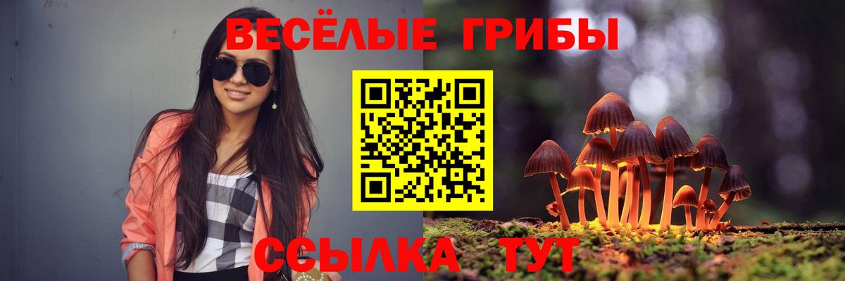 Галлюциногенные грибы GOLDEN TEACHER Новоалександровск